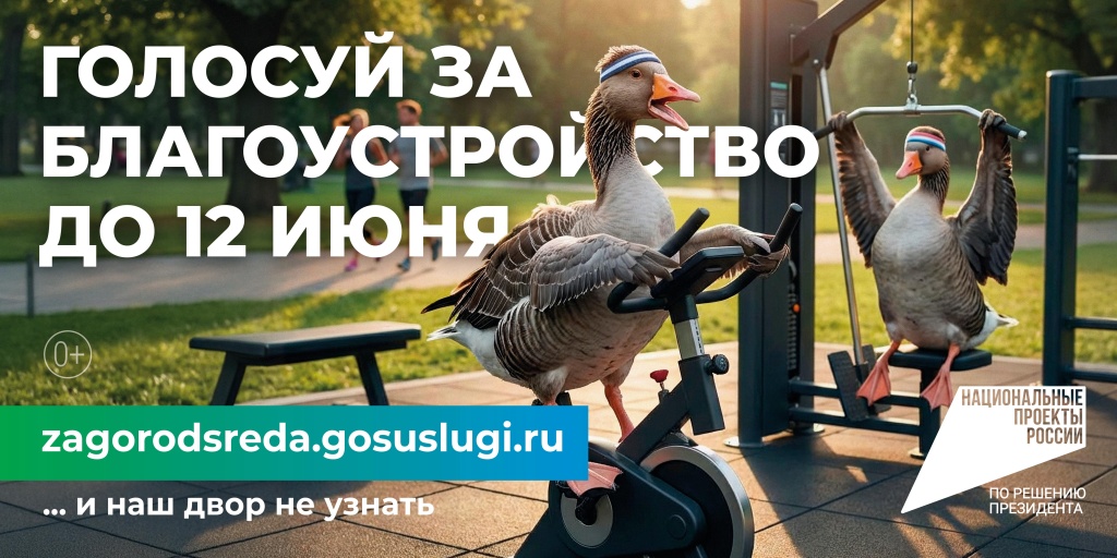 OOH_Gusi_sport-CMYK.jpg